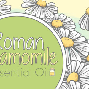 Roman Chamomile Essential Oil Coloring Pages