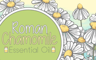 Roman Chamomile Essential Oil Coloring Pages